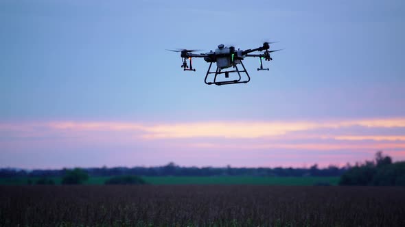 Agro Drone Flying Sunset