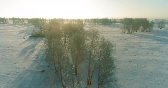 Aerial Drone View of Cold Winter Landscape with Arctic Field, Trees Covered with Frost Snow and