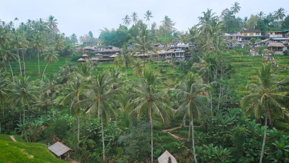 Village Is Built on a Green Hill in the Jungle. Many Small and Low Houses Are Next To Each Other