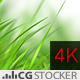 Nature Wonders Grass Scene - VideoHive Item for Sale