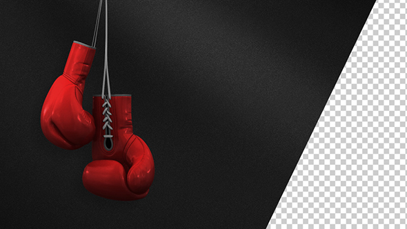 Boxing Gloves Hanging