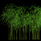 3D Bamboo Tree Growing Animation - VideoHive Item for Sale