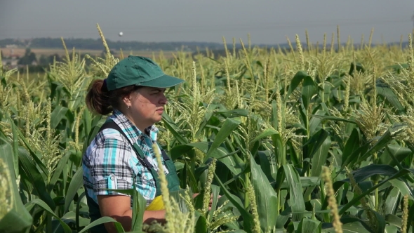 Woman in Overalls Walking in the Field of Corn