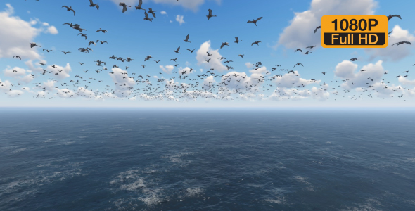 Herd of birds on Ocean