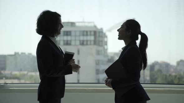 Smiling Professional Businesswomen Talking