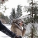 Couple Winter Snow Forest Walking Happy Smiling Man And Woman Holding Hands In Snowy Park - VideoHive Item for Sale
