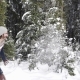 Couple Winter Forest Walking Man And Woman Throwing Snow Having Fun In Snowy Park - VideoHive Item for Sale