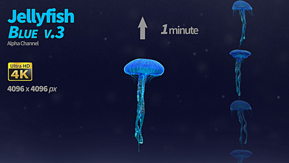Jellyfish Blue 3 alt