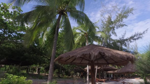 View of the Sandy Beach With Thatched Umbrellas