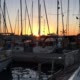 Marina in the Evening With Yachts Silhouettes - VideoHive Item for Sale