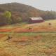 Aerial of Round Hay Bales on Farm - VideoHive Item for Sale