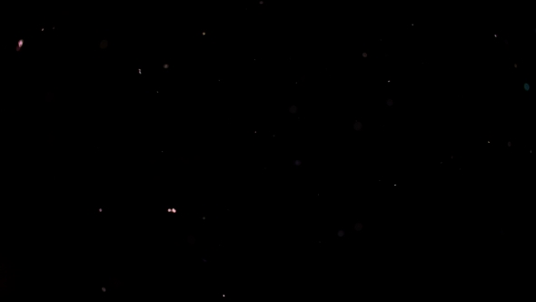 Particles Flying on a Black Background. Colored Particles Flying Erratically. alt