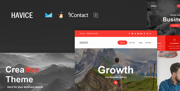 Havice Mail - Responsive E-mail Template + Online Access