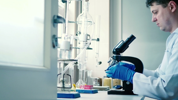 Man Working with the Microscope alt