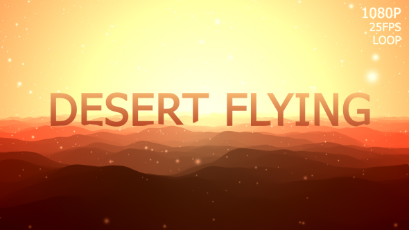 Desert Flying