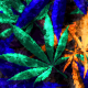 Marijuana Grunge Background 001 - VideoHive Item for Sale