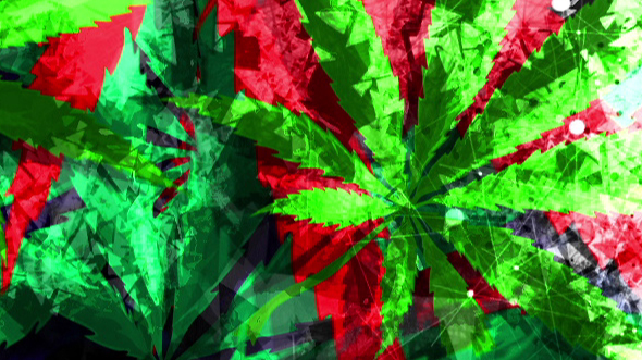 Marijuana Grunge Background 001