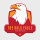 Multi purpose Eagle Logo - GraphicRiver Item for Sale