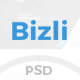 Bizli - Creative Multipurpose PSD Template - ThemeForest Item for Sale