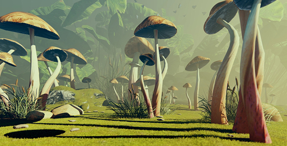 Forest Glade With Mushrooms