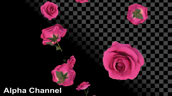 Roses Falling alt