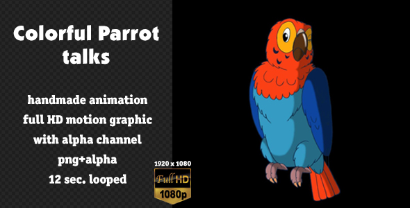 Colorful Parrot Talks