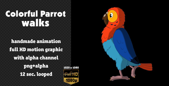 Colorful Parrot Walks