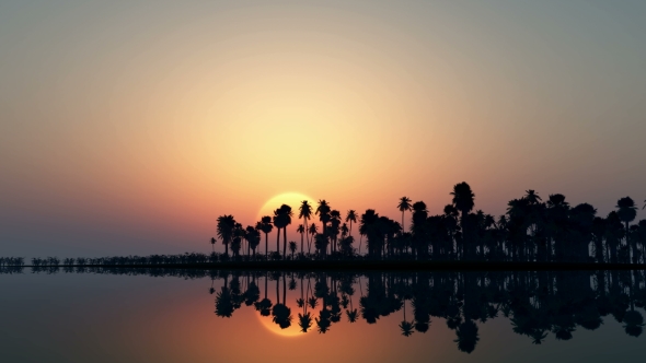 Tropical Island with Palms alt