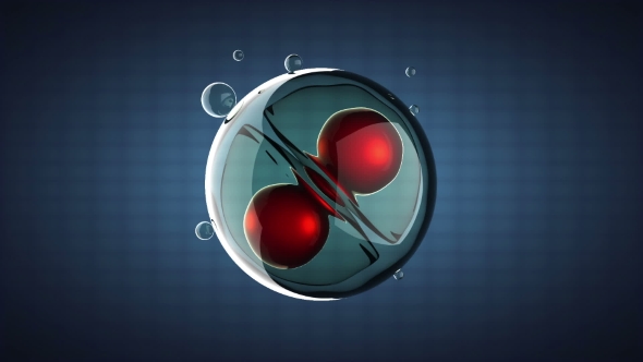 Rotate Cell Division