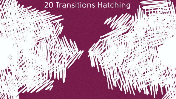 20 Transition Hatching alt