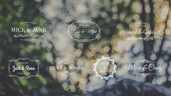 Lovely Wedding Titles Vol 5