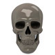 Human scull 3d print model - 3DOcean Item for Sale
