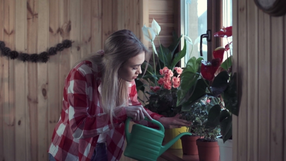 Young Woman Watering Flowers Inside Home