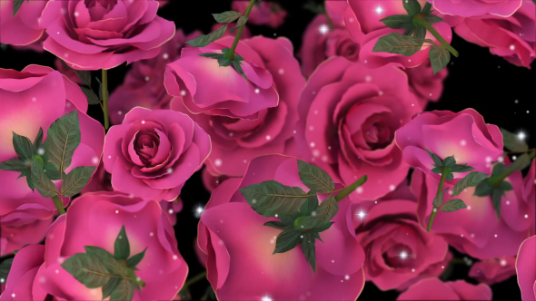 Roses Background alt