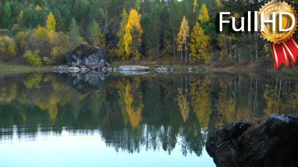 Forest Lake in Autumn Yellow Trees Background