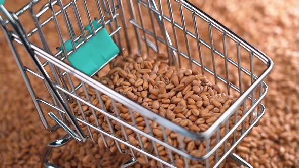 Wheat seeds falling into a supermarket cart in pile of grains