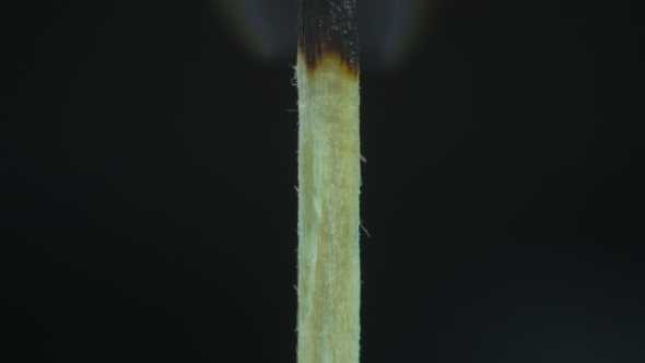 Wooden Match Burning alt