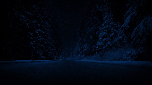 Road Through Forest In Snowfall At Night alt