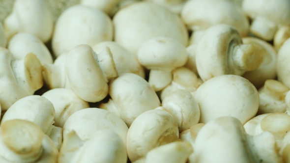 Washed and Ready-to-Cook White Mushrooms