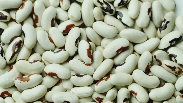 Background From White Beans