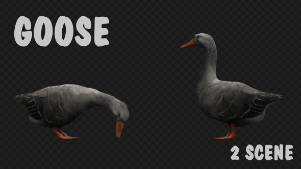 Farm Animals - Goose - 2 Scene