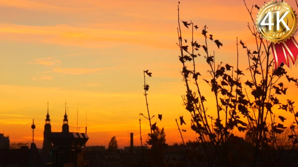 Spires Bell Towers of Cathedral Silhouettes Trees