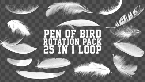 Rotation Feather Pack alt