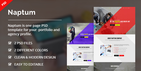 Naptum - One Page Parallax PSD Template