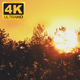Sunset Over Forest 2 - VideoHive Item for Sale