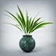 Interior Plant (3dsmax + Vray Ready) - 3DOcean Item for Sale