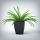 Interior Plant (3dsmax + Vray Ready) - 3DOcean Item for Sale