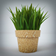Interior Plant (3dsmax + Vray Ready) - 3DOcean Item for Sale