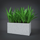 Potted Plant - 3DOcean Item for Sale