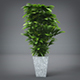 Interior Plant (3dsmax + Vray Ready) - 3DOcean Item for Sale